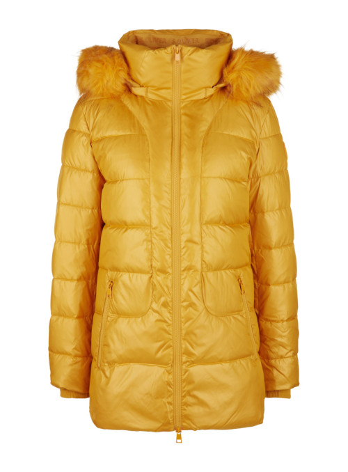 Quilted jacket with hood...